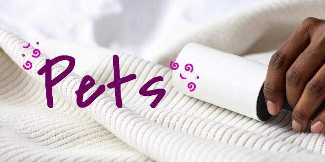 Uso do Produto Rolo Adesivo Scotch-Brite
