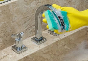 All Natural Shower Cleaner
